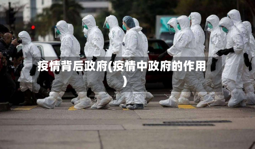 疫情背后政府(疫情中政府的作用)-第2张图片