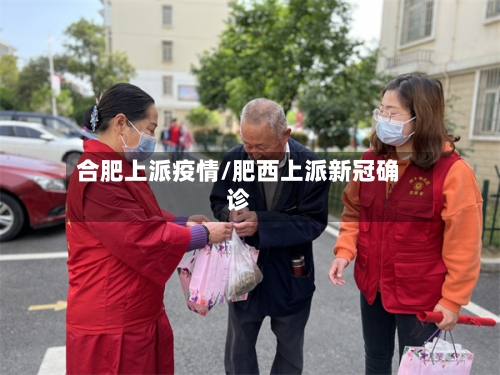 合肥上派疫情/肥西上派新冠确诊-第2张图片